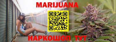 индика Заводоуковск