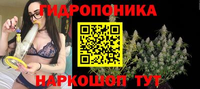 сатива Гагарин