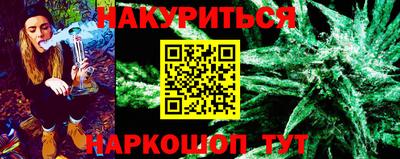 индика Заводоуковск