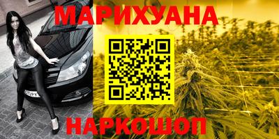 сатива Гагарин