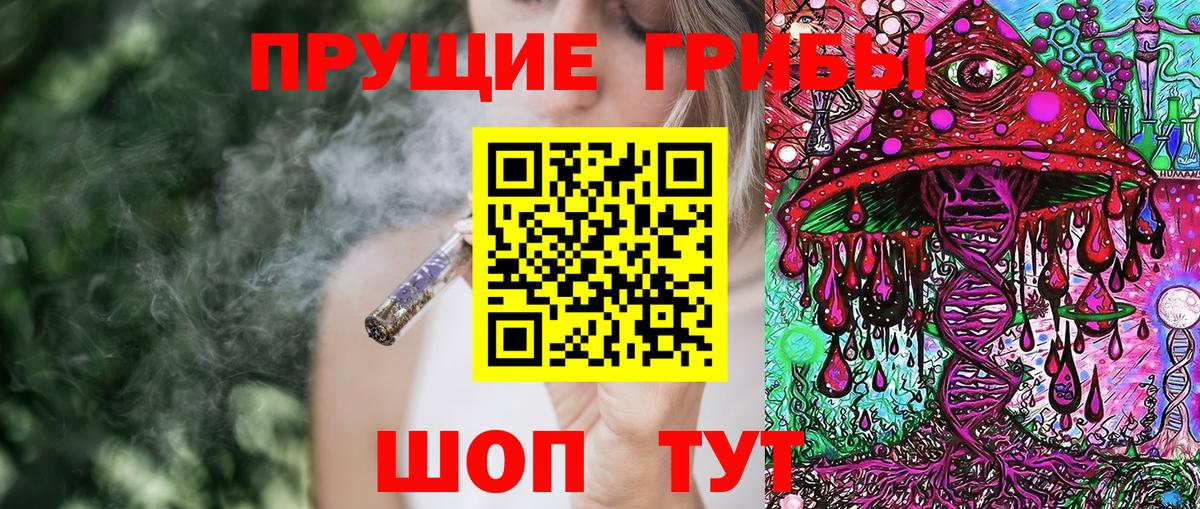 Галлюциногенные грибы MAGIC MUSHROOMS  Вход с VPN  Рославль 
